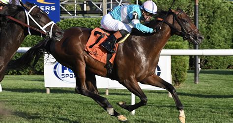 zulu sure wins|Zulu Kingdom wins with inside job in the With Anticipation at .